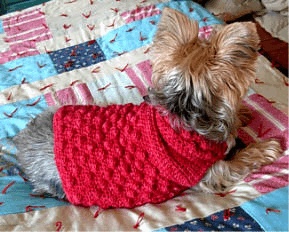Side view of dog wearing berry stitch crochet sweater